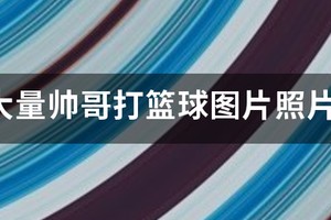 篮球训练辛苦的图片搞笑